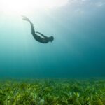 neom-gBCMAENwknA-unsplash