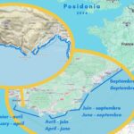 Carte shématique itinéraire Posidonia