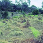 Couvertures Articles