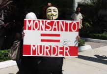 Europe : bientôt de nouveaux OGM dans nos assiettes ?