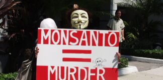 Europe : bientôt de nouveaux OGM dans nos assiettes ?