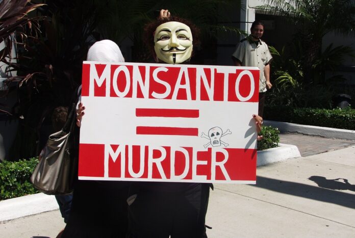 Europe : bientôt de nouveaux OGM dans nos assiettes ?