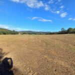 Terrain du Verger à nu