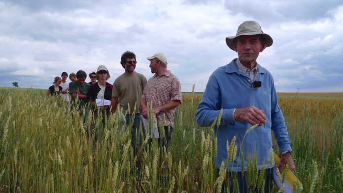 L’alimentation bio est-elle vraiment meilleure pour la santé ?