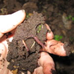 15694007183_c41b88a03c_k