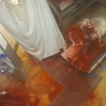 abattoir-bigard-venarey-les-laumes-animal-conscient-affalage