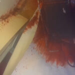 abattoir-bigard-venarey-les-laumes-egorgement-souffrance