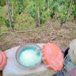 Bouillie_bordelaise_atomiseur