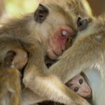 Design sans titre (2)