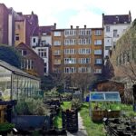 Snapinsta.app_92355438_307023183601585_3990746375757253984_n_1080