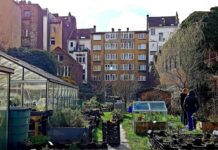 Services publics et écologie : les freins qui empêchent d’aller vite