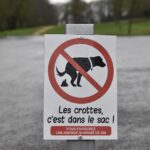 street-sign-7015678_1280