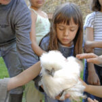 5327561218_b3d6691da3_b