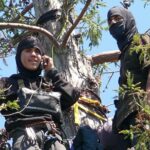 Berkeley_Tree_Sitters_-_UC_Berkeley_Memorial_Oak_Grove