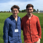 Gratitude_Pierre et jean champ de lin