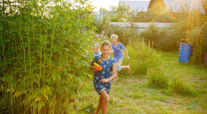 5 raisons de végétaliser les cours d’école