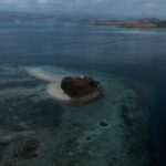 Coral Guardian – Indonésie