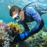 Coral Guardian – Indonésie