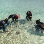 Coral Guardian – Indonésie