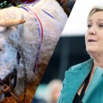 Législatives : le RN promet un recul de la condition animale