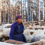 Mongolie : avec le dernier peuple nomade éleveur de rennes