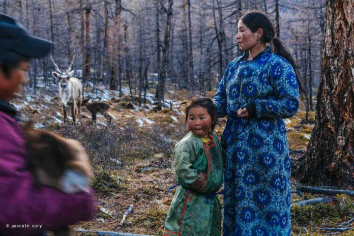 Rencontre avec le « peuple des rennes » de Mongolie