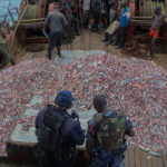 Pillages : les mers africaines vidées par la Chine et l&rsquo;Europe