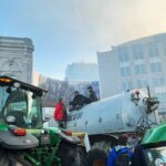 pexels-ieva-brinkmane-1052950035-20432158