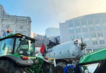 PAC : un déni écologique avec 80% d’aides à l’élevage