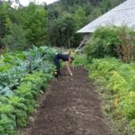 Pixabay_Pierre_Gilbert