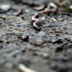 UNSPLASH_Julian-Zwengel