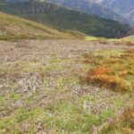 2957681105_b0f25fab01_c