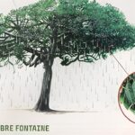 a7f8efabf2_50098316_13450-arbre-fontaine (1)