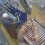 abattoir-boulogne-sur-gesse-4