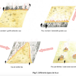 Capture d’écran 2024-08-14 à 10.53.23