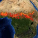 Les puits de carbone naturels s’effondrent en 2023