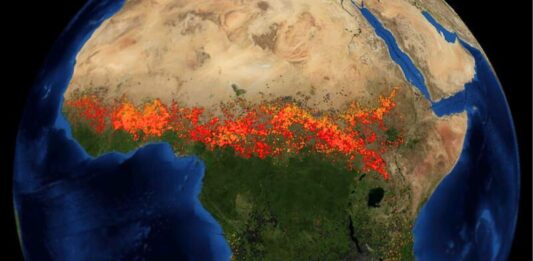 Les puits de carbone naturels s’effondrent en 2023