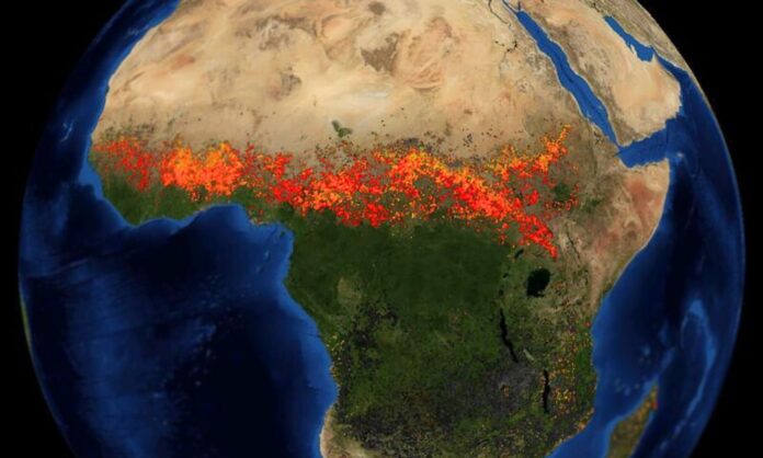 Les puits de carbone naturels s’effondrent en 2023 Les puits de carbone naturels s’effondrent en 2023