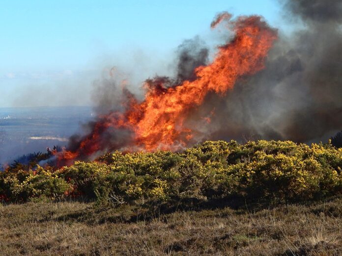 Écobuage : ces feux agricoles doivent-ils nous inquiéter ?
