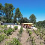 Solar Brother – centrale solaire 1