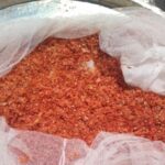 Expérimentation de la technique de conservation des tomates à partir de 2019