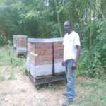 Mamadou Ly devant des ruches en bois et en ciment(1)