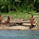 Une tribu menacée par l&rsquo;industrie forestière en Amazonie