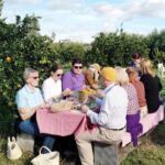 Une expérience d’hospitalité partagée autour d’un repas de couscous. Béni Khalled,