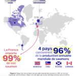 Capture d’écran 2024-10-22 à 12.14.52