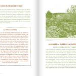 Capture d’écran 2024-10-31 à 11.51.32