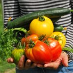 vegetables-742095_1280