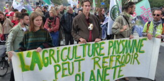 L’agroécologie pourrait nourrir 9,5 milliards d’humains