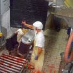 abattoir-maurienne-savoie-moutons-etourdissement-matador