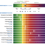 Capture d’écran 2024-11-06 à 15.53.47